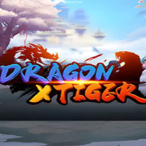 Explore the Thrills of DragonXTiger